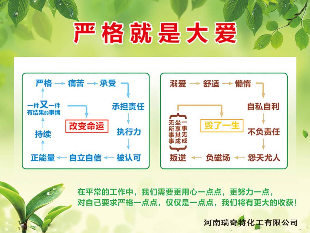 圖片10