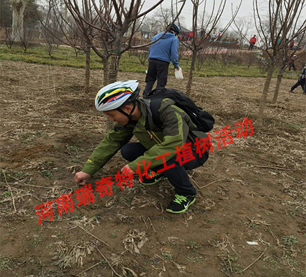 瑞奇特攜同捷安特綠色出行植樹造林活動