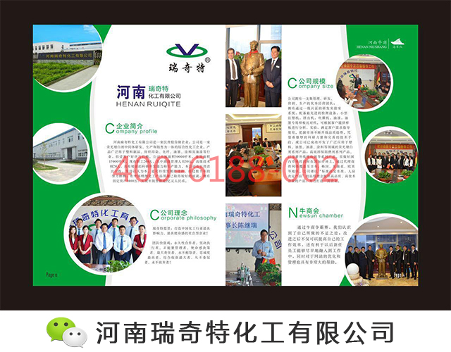 瑞奇特宣傳