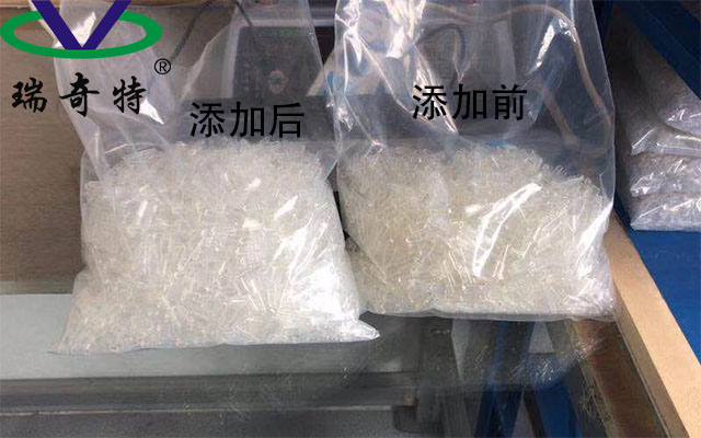 圖片8