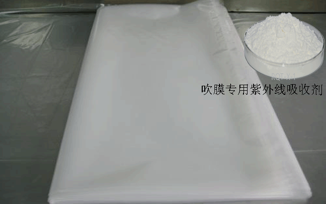 圖片3