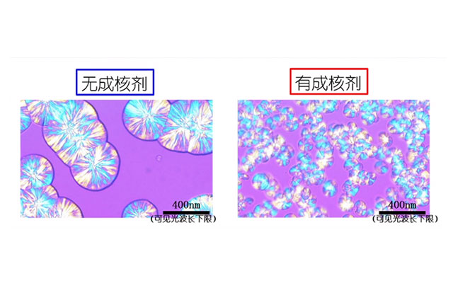 成核劑
