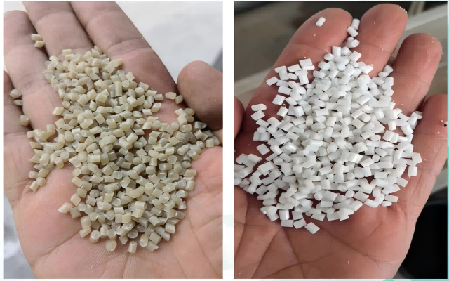 陳翠玲PS造粒（B-2顆粒）