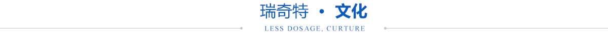 瑞奇特文化