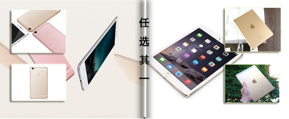 圖片5